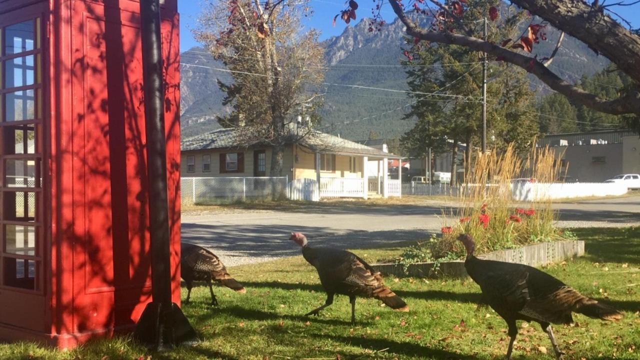 Piccadilly Motel Radium Hot Springs Exterior photo